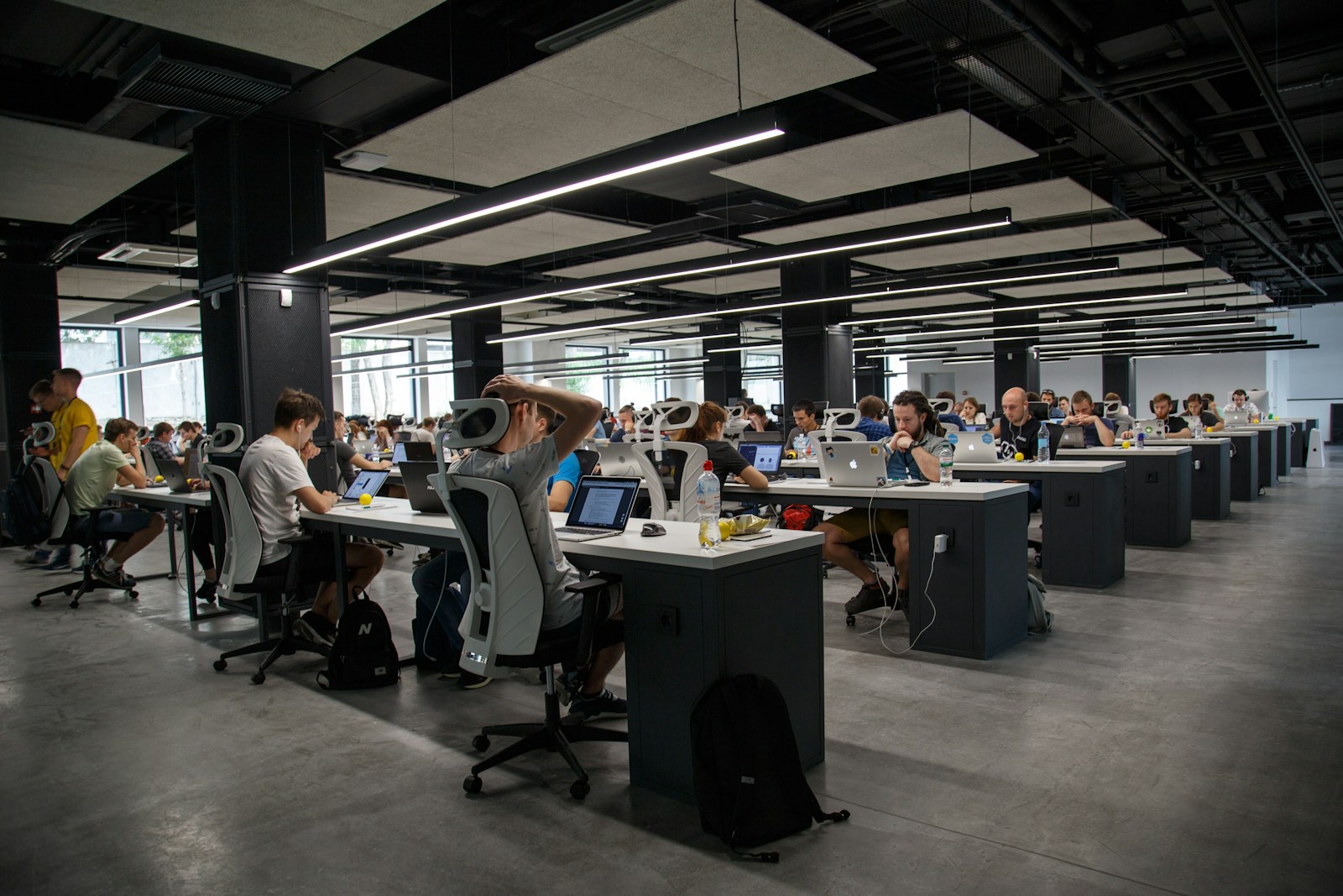people doing office works business